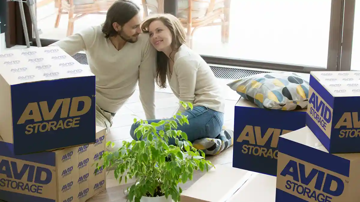 Avid Storage Family