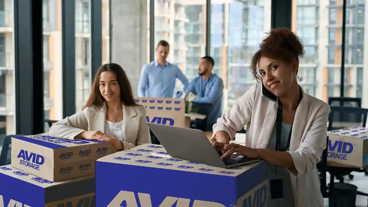 Avid Storage Business