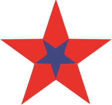 Lone Star Storage Icon